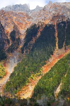 Steep Mountain And Colorful Tree Stock Photo Steep Mountain And Colorful Tree Stock Photo