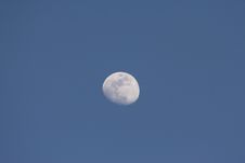 The Moon Royalty Free Stock Images