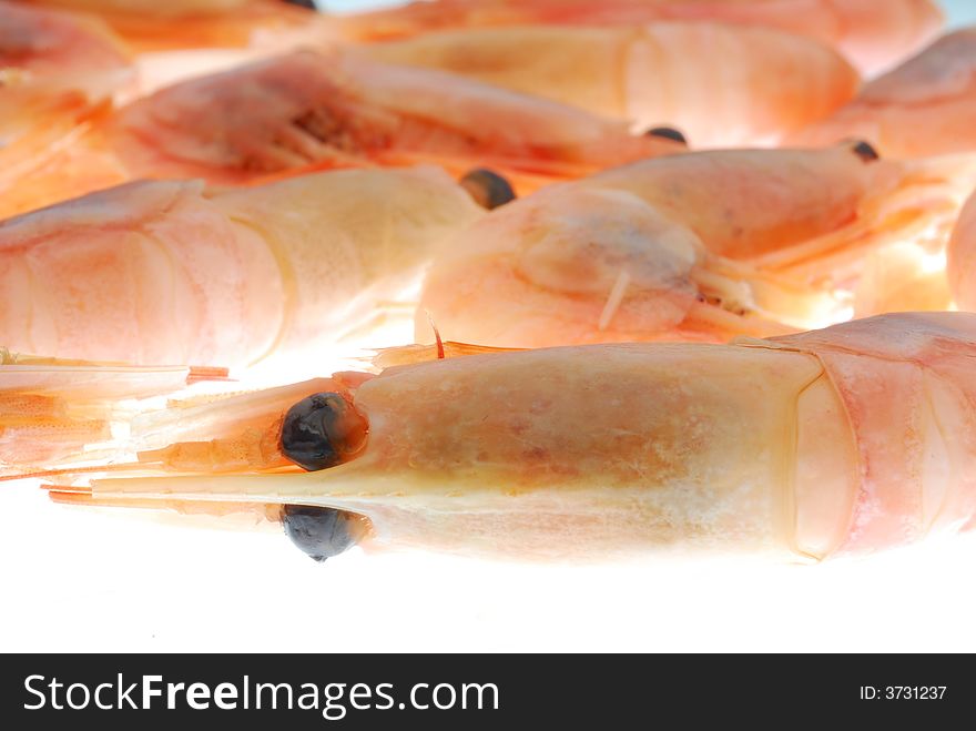 Close up image of shrimps