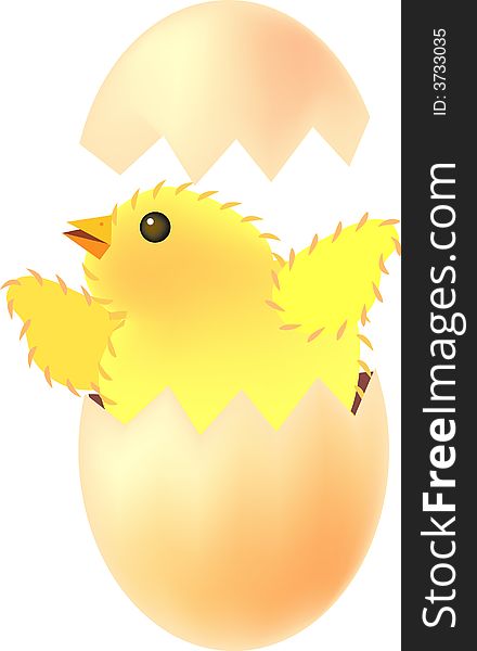 Vector illustration for a chick hatched out from the eggshell