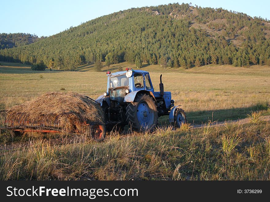 Tractor transporting hay in field