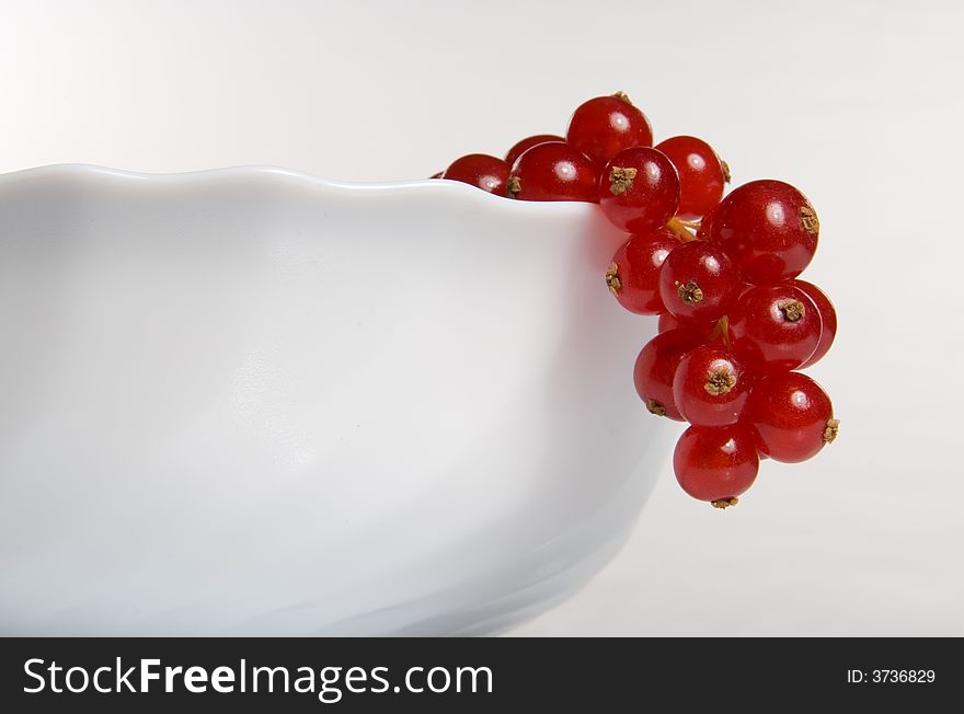 Red currant in a white cup