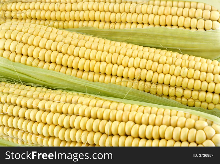 Texture of three corn cob. Texture of three corn cob