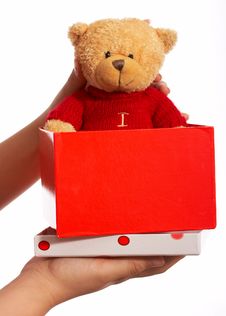 Teddy Bear Stock Images
