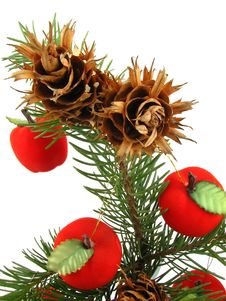 Apples On Christmas Tree Stock Images Apples On Christmas Tree Stock Images