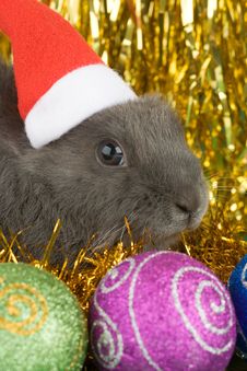 Grey Bunny And Christmas Decorations Stock Image Grey Bunny And Christmas Decorations Stock Image