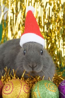 Grey Bunny And Christmas Decorations Royalty Free Stock Images Grey Bunny And Christmas Decorations Royalty Free Stock Images