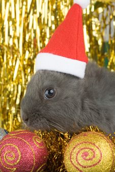Grey Bunny And Christmas Decorations Stock Photography Grey Bunny And Christmas Decorations Stock Photography