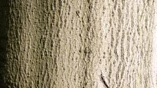 Bark Of A Tree Royalty Free Stock Image