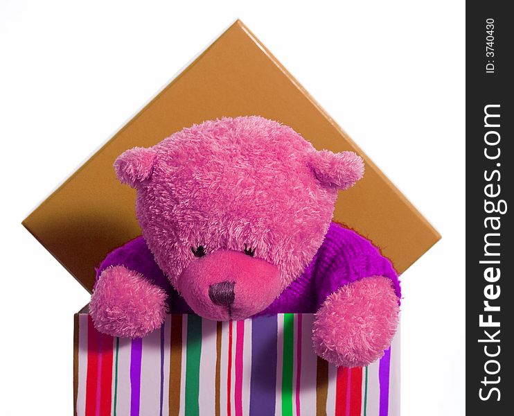 A pink teddy bear inside the red box over. A pink teddy bear inside the red box over