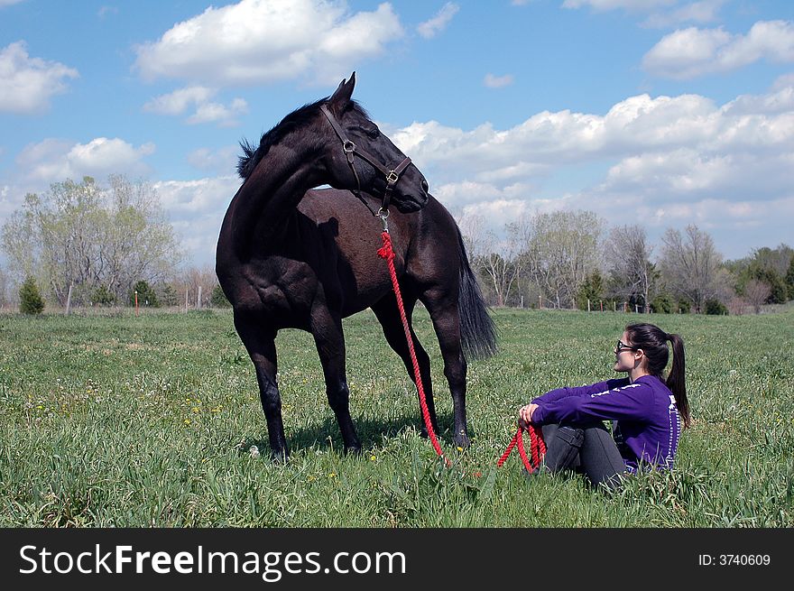 Young woman sitting in grass near black horse. Young woman sitting in grass near black horse.