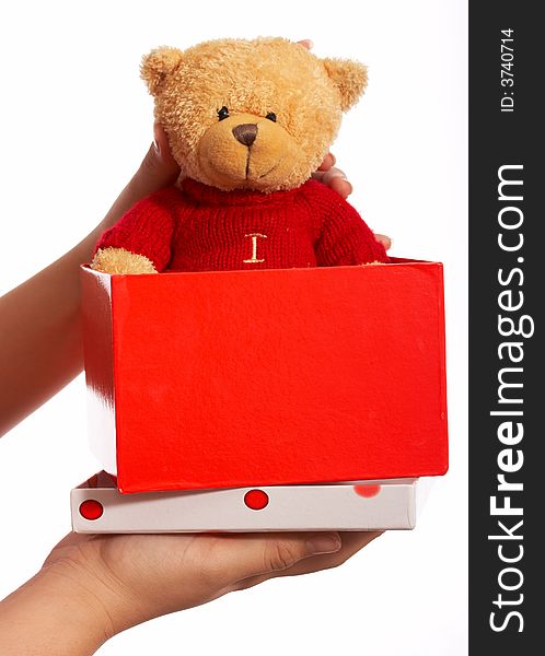 A teddy bear inside a gift box