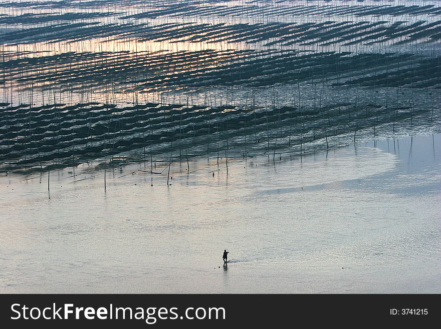 The most beautiful coastline in CHINA 
XIA PU coastline FUJIAN province of CHINA
be a resident of sea