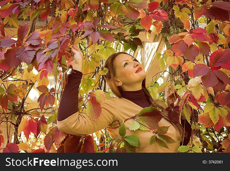 Portrait of the beautiful girl in autumn park