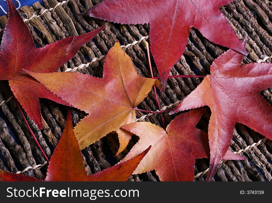 Red fall leaves on woven sticks. Red fall leaves on woven sticks