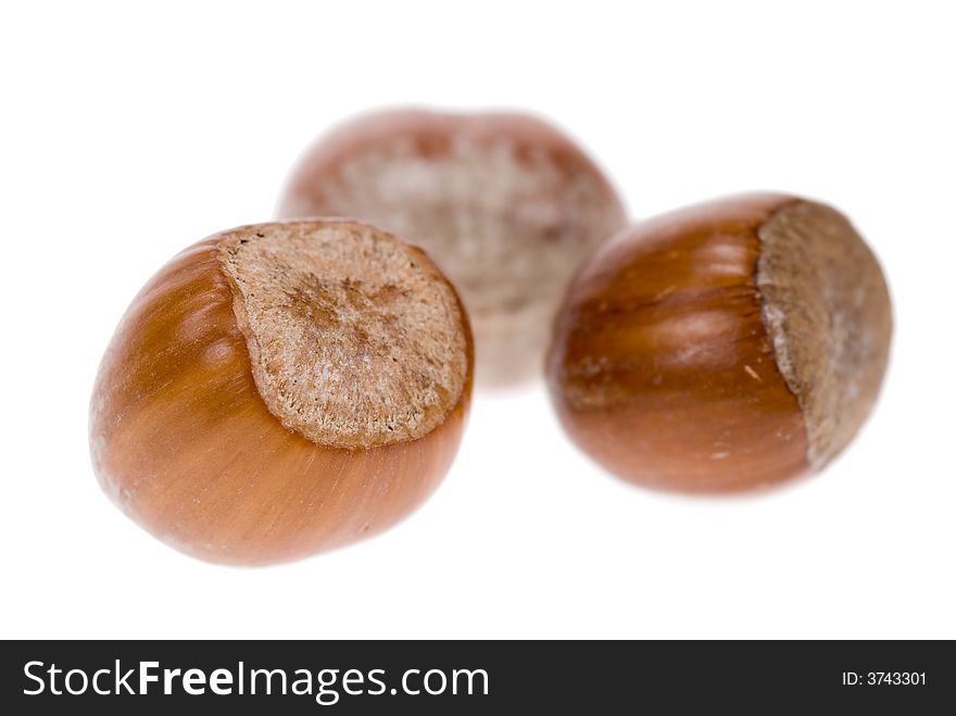 Fresh hazelnuts isolated on a white background