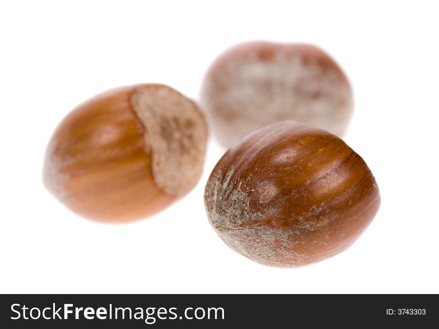 Fresh hazelnuts isolated on a white background