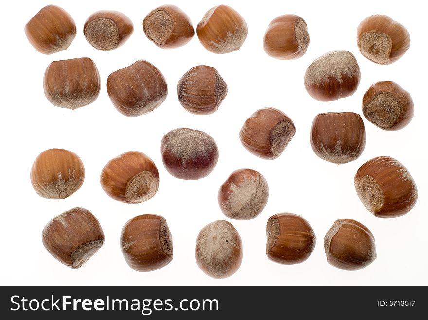 Fresh hazelnuts isolated on a white background