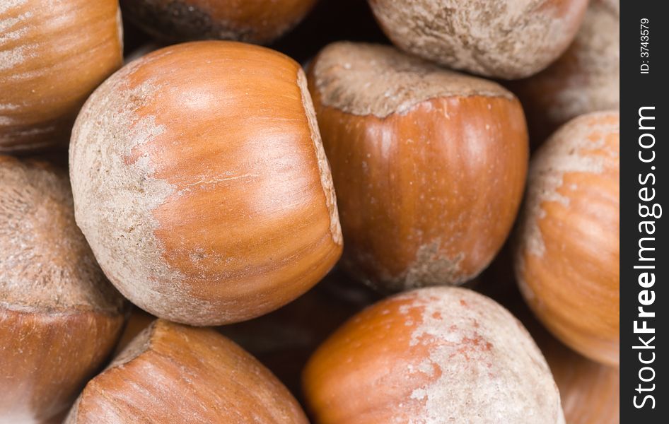 Fresh hazelnuts in shell background