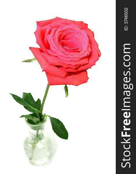 Red rose in a crystal bud vase. Isolate on white. Red rose in a crystal bud vase. Isolate on white.