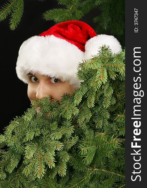 Christmas girl in a Santa hat peeking from behind fir tree branches. Christmas girl in a Santa hat peeking from behind fir tree branches