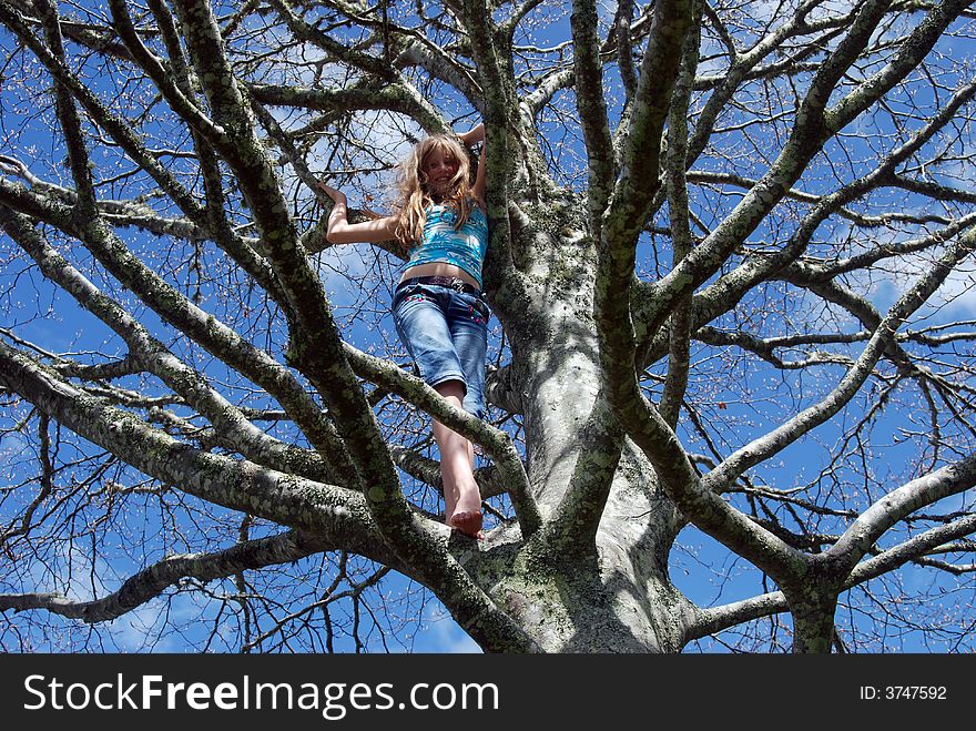 A young girl (tomboy) up a tree. A young girl (tomboy) up a tree