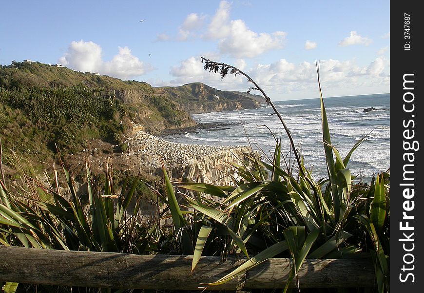Situated roughly 40 minutes from Auckland this tranquil Beach offers a great variety of natural entertainment. Situated roughly 40 minutes from Auckland this tranquil Beach offers a great variety of natural entertainment.