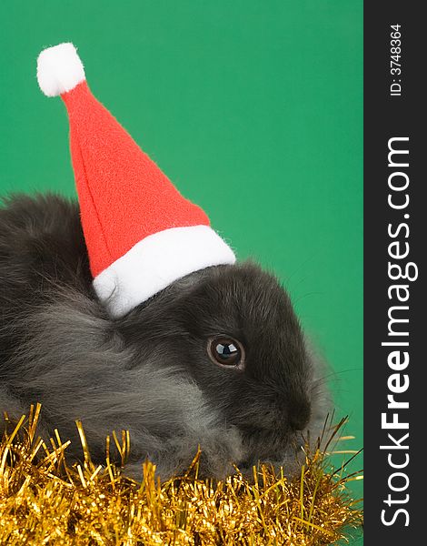 Grey bunny and christmas decorations, green background