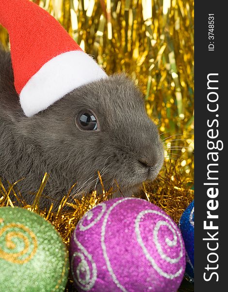 Grey bunny and christmas decorations on gold background