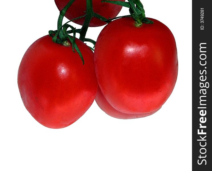 Cherry tomatoes growing on the vine ripe