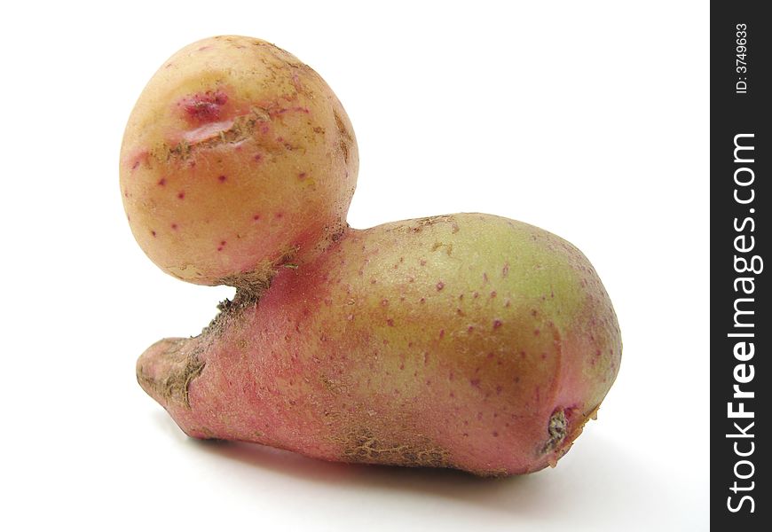 Potato a snail