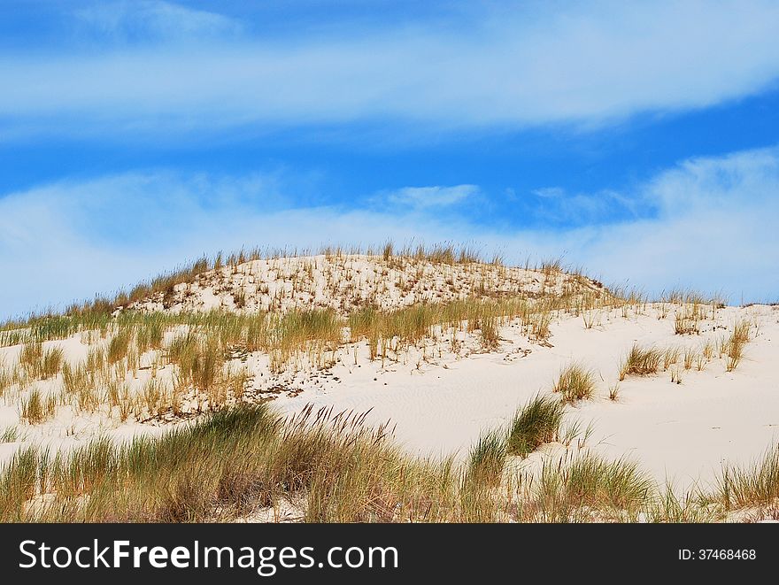 Sand dunes in the Polish national park