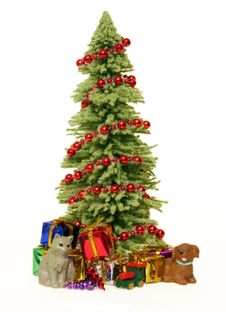 Christmas Tree, Gifts And Pets Stock Photos Christmas Tree, Gifts And Pets Stock Photos