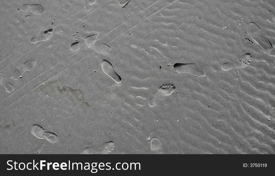 Mudflat With Footprints