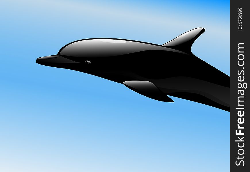 Black dolphin in blue water