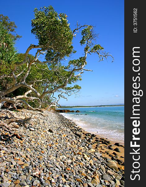 Sandy beach at Noosaville, Sunshine Coast, Australia