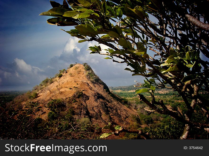 A hill naturally framed with a tree. A hill naturally framed with a tree