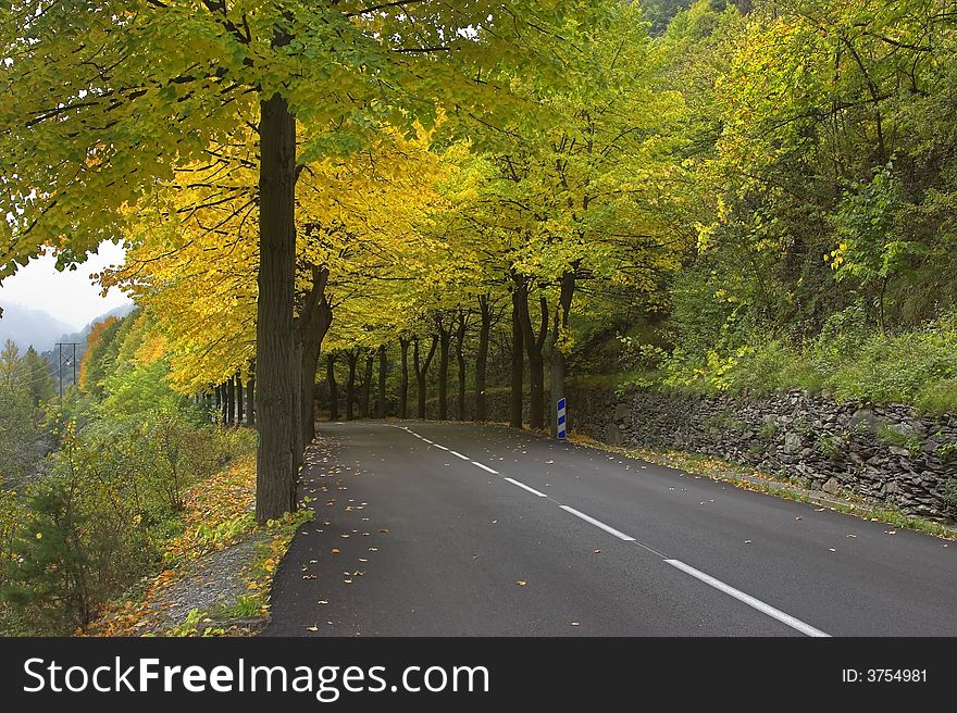 Highway, passing between autumn trees with yellow leaves. Highway, passing between autumn trees with yellow leaves