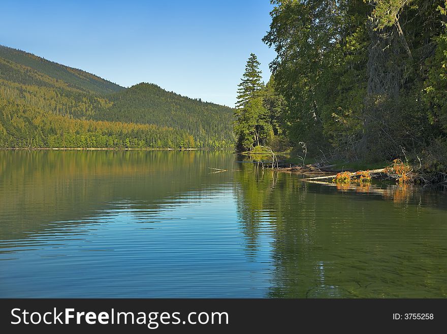 The lake surrounded by a dense fir forest. The lake surrounded by a dense fir forest