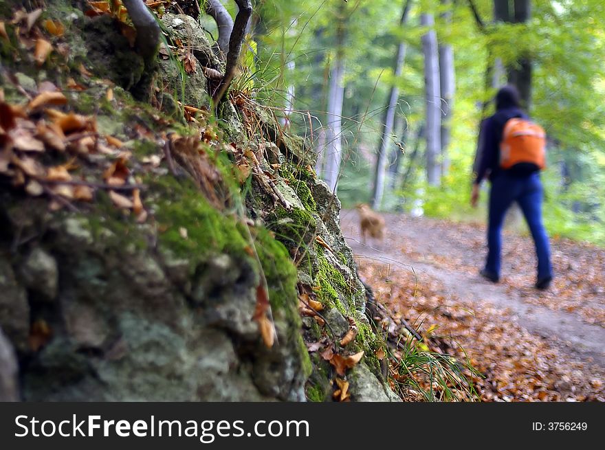 Girl with dog in the colorful forest. Girl with dog in the colorful forest.