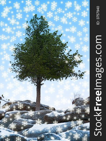 Alone tree stand over blue sky on stone. Alone tree stand over blue sky on stone