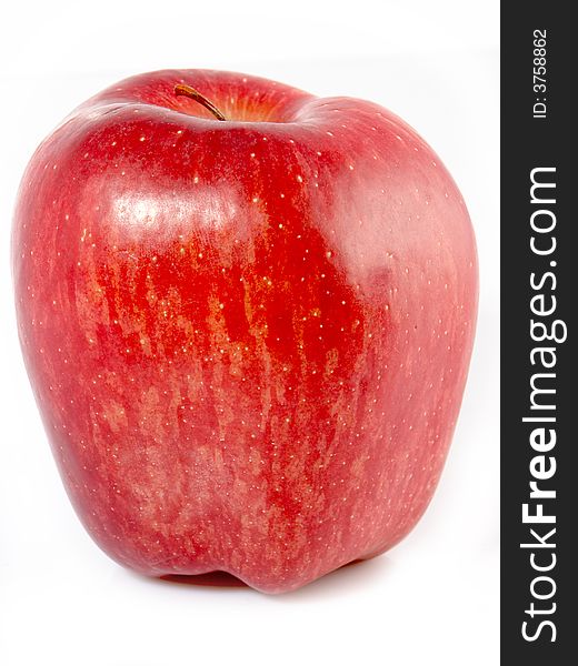 A red apple on white background.