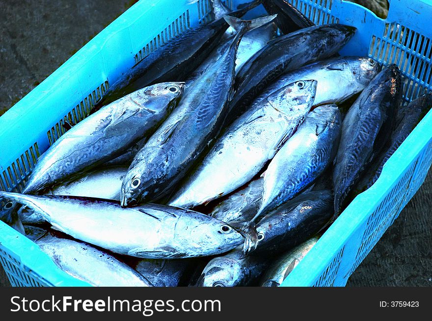 A bunch of fish kept in a basket for sale