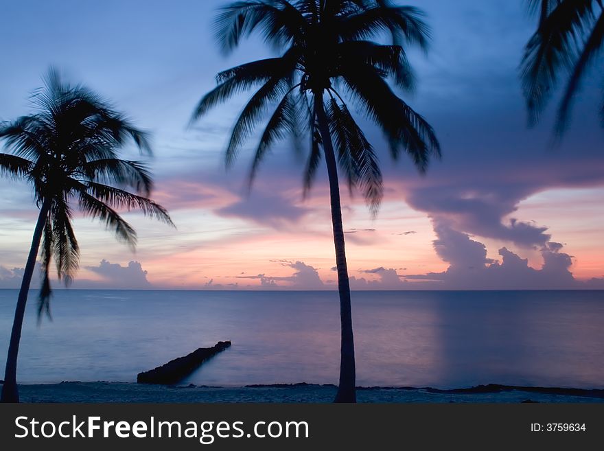 Sunset on the sea with palms