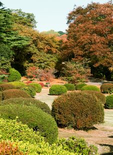 Japanese Garden Stock Image Japanese Garden Stock Image