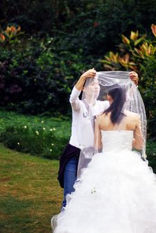 Bride Putting On Veil Stock Photo Bride Putting On Veil Stock Photo