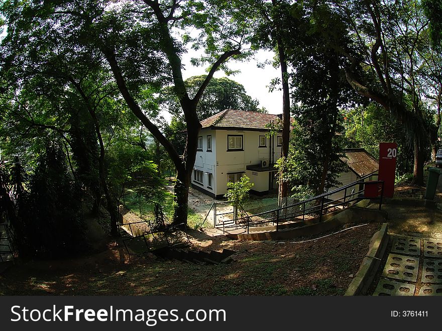 Old house surround by the plants and trees