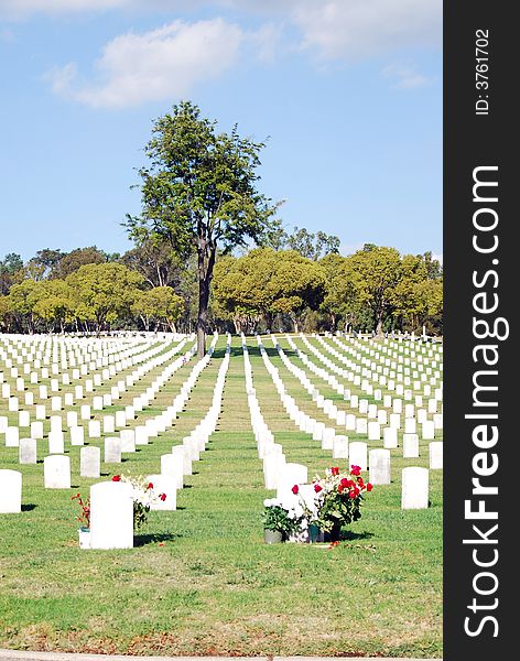 Tombstones lined up in the Los Angeles National Cemetery. The VA National Cemetery Administration honors the military service of our Nation's veterans. Tombstones lined up in the Los Angeles National Cemetery. The VA National Cemetery Administration honors the military service of our Nation's veterans.