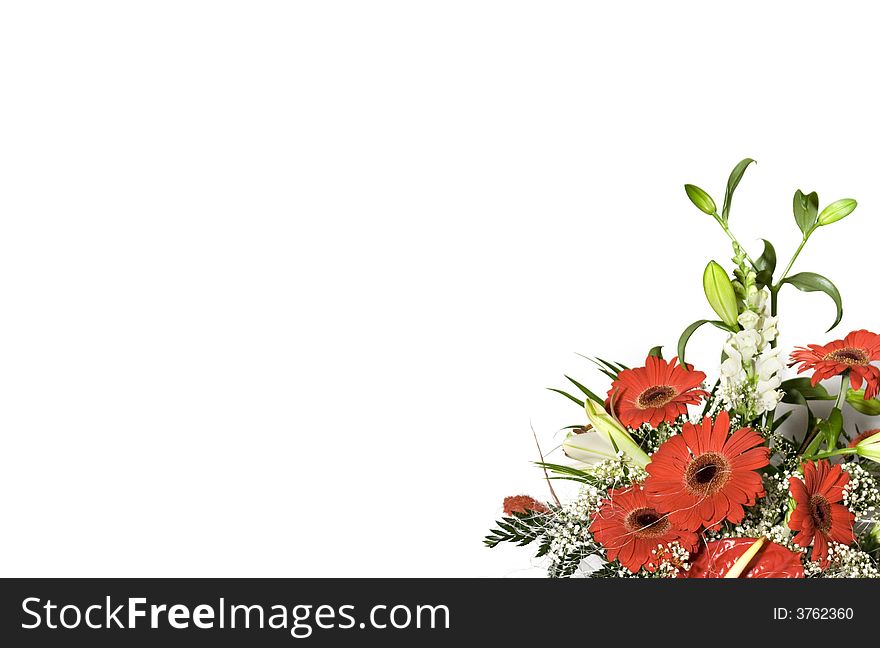 Ox-eye daisy bouquet on white background (horizontal composition). Ox-eye daisy bouquet on white background (horizontal composition)