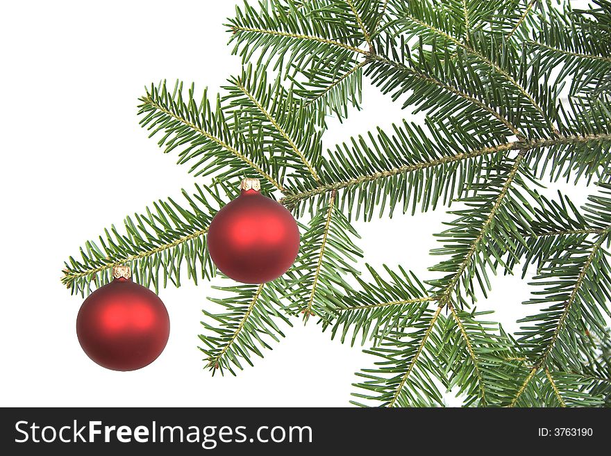 Christmas background green fir branch texture